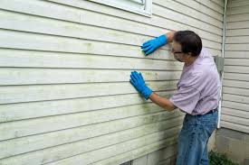 Best Vinyl Siding Installation  in Ellwood City, PA